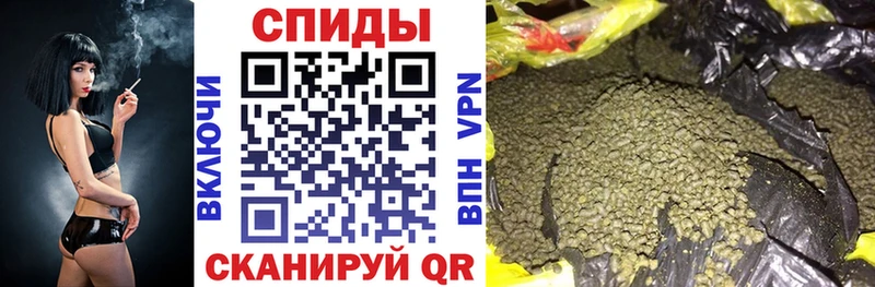 Бутират буратино  Купить где  Костерёво 