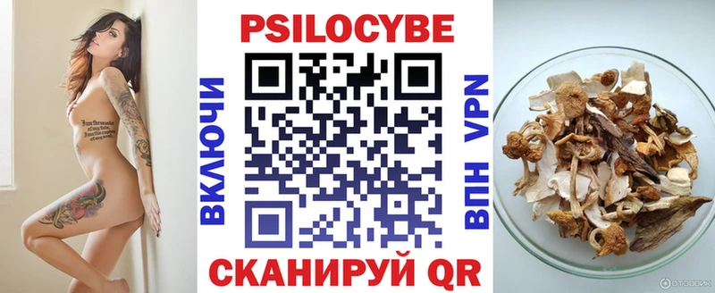 Галлюциногенные грибы Cubensis  Купить  Костерёво 